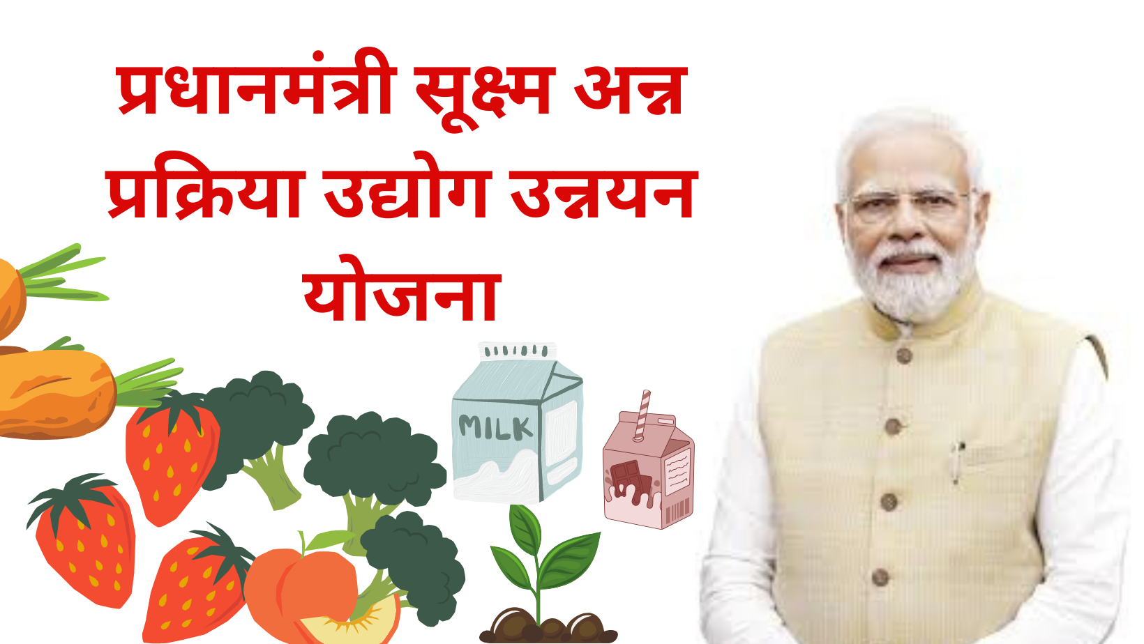 प्रधानमंत्री सूक्ष्म अन्न प्रक्रिया उद्योग उन्नयन योजना